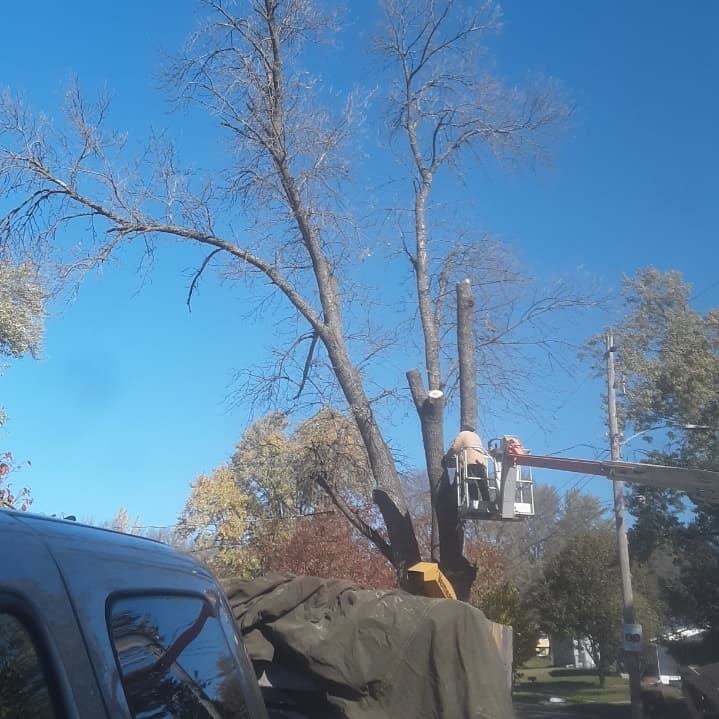 CB's Tree and Lawn Service