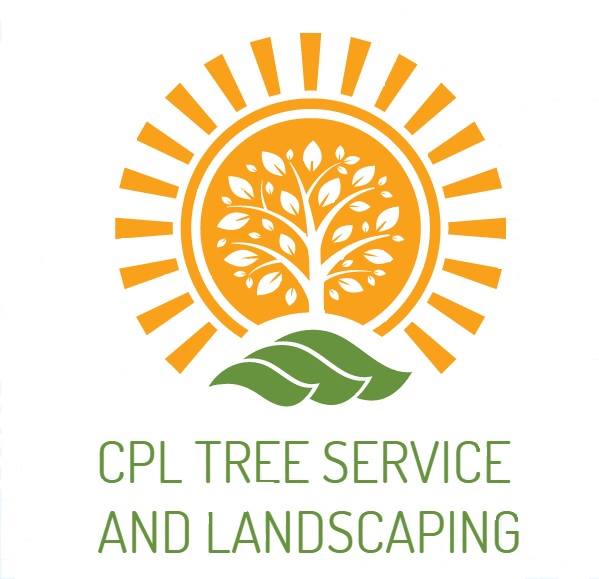CPL Tree Service and Landscaping | Pinellas Park FL