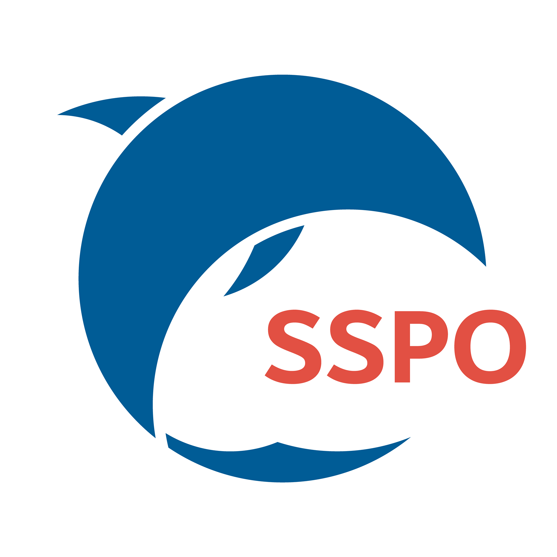 SSPO - Sauvetage et Secourisme du Pays des Olonnes