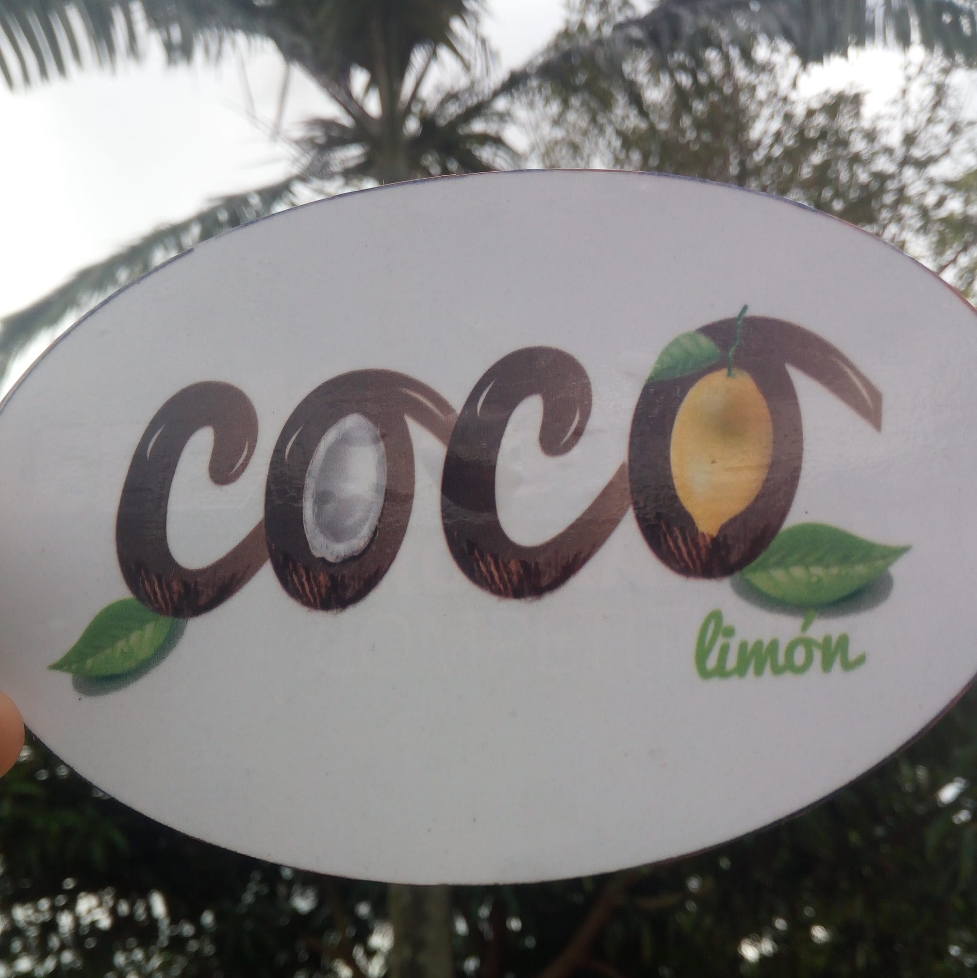 Coco limon