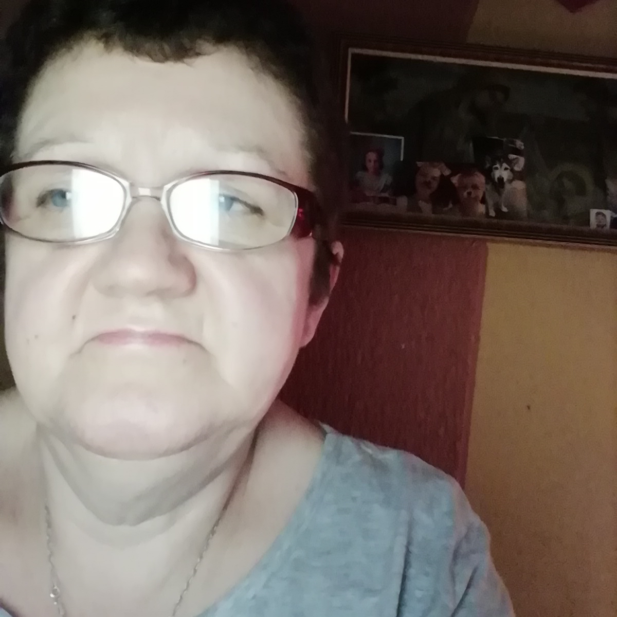 Cudowny Majlo wciąż bez domku 🥺 Młodzieniaszek, z bielutkimi zębami ...