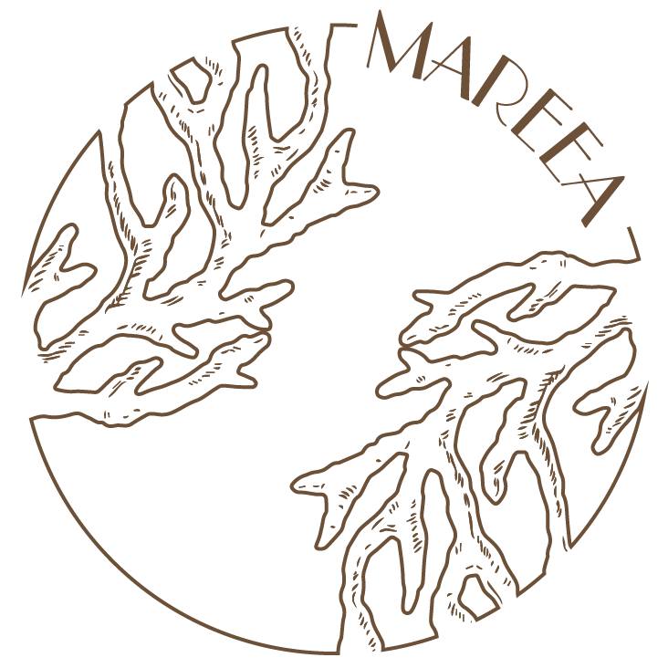 Mareea