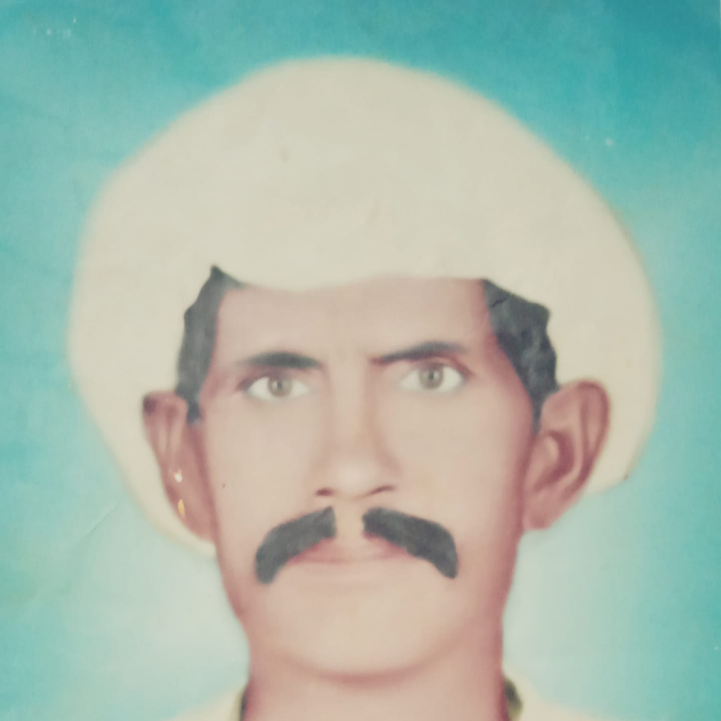نزر زرعی فارم 31 ڈی | Dipalpur