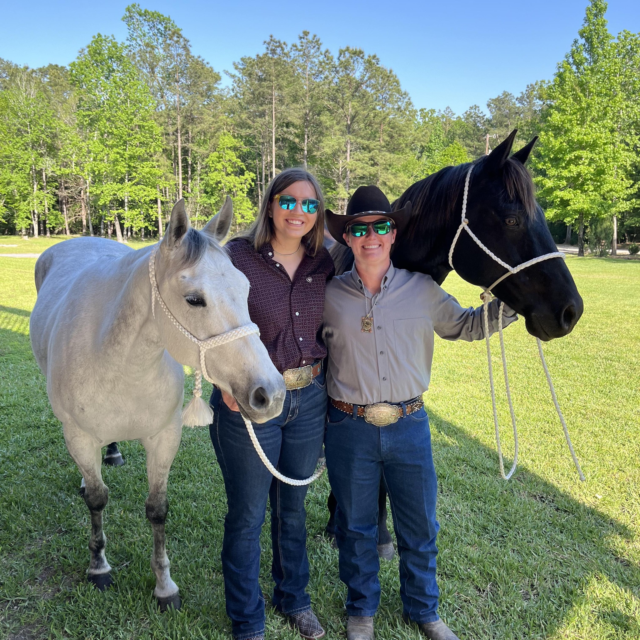 CS Cattle Co. - Horses | Cimarron NM
