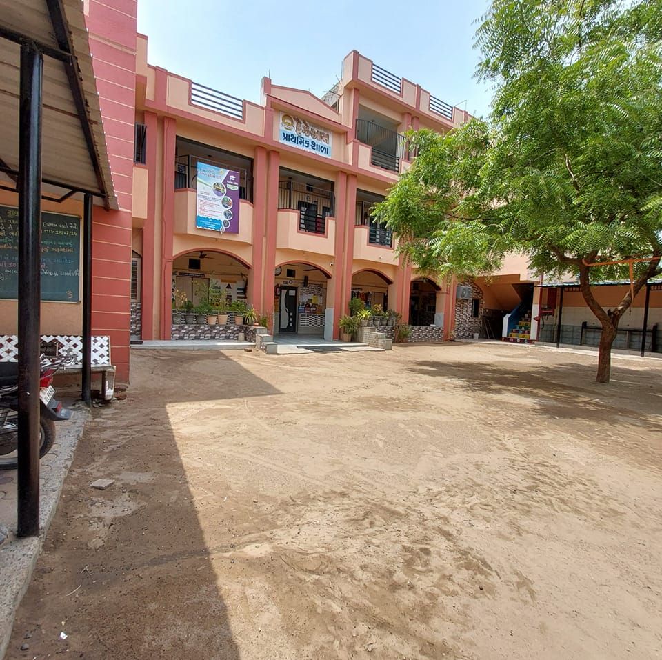 Faize aam school