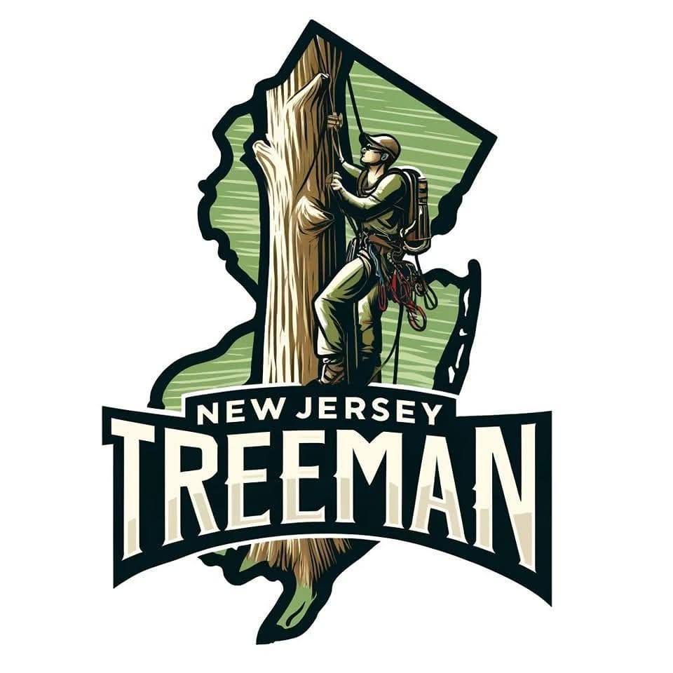 New Jersey Treeman – Professional Tree Care You Can Trust 🌳 With over ...