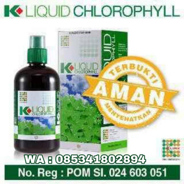 WA 085341802894 Alamat K-Link Yogyakarta, Distributor K-Link Yogyakarta ...