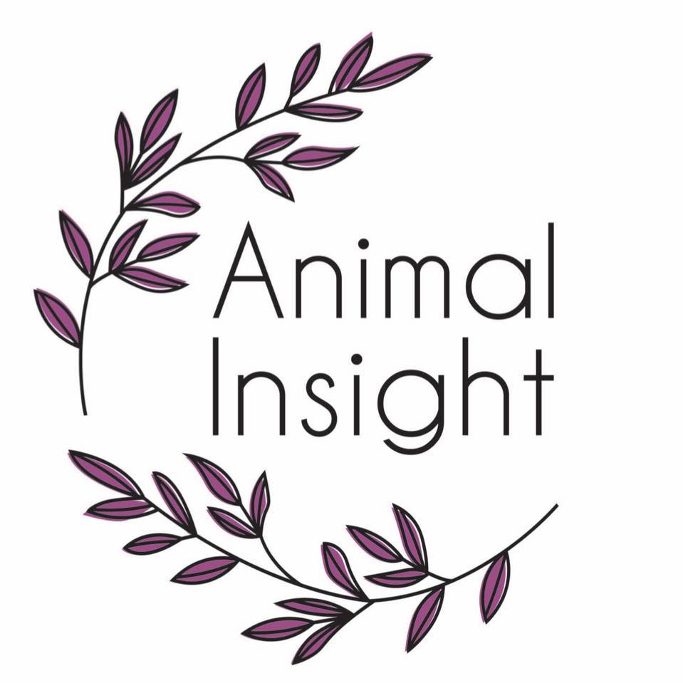 Animal Insight