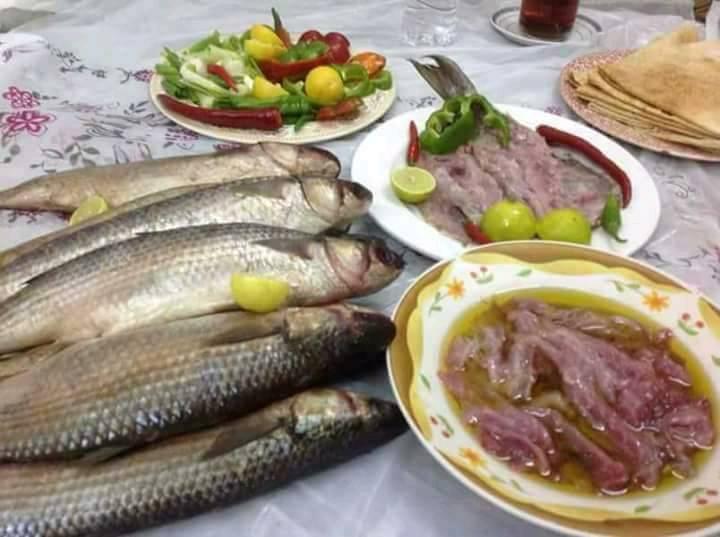 فسيخ ممتاز درجة اولي بتبوك