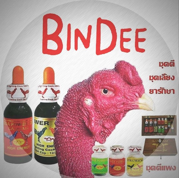 BinDee บินดี | Bangkok