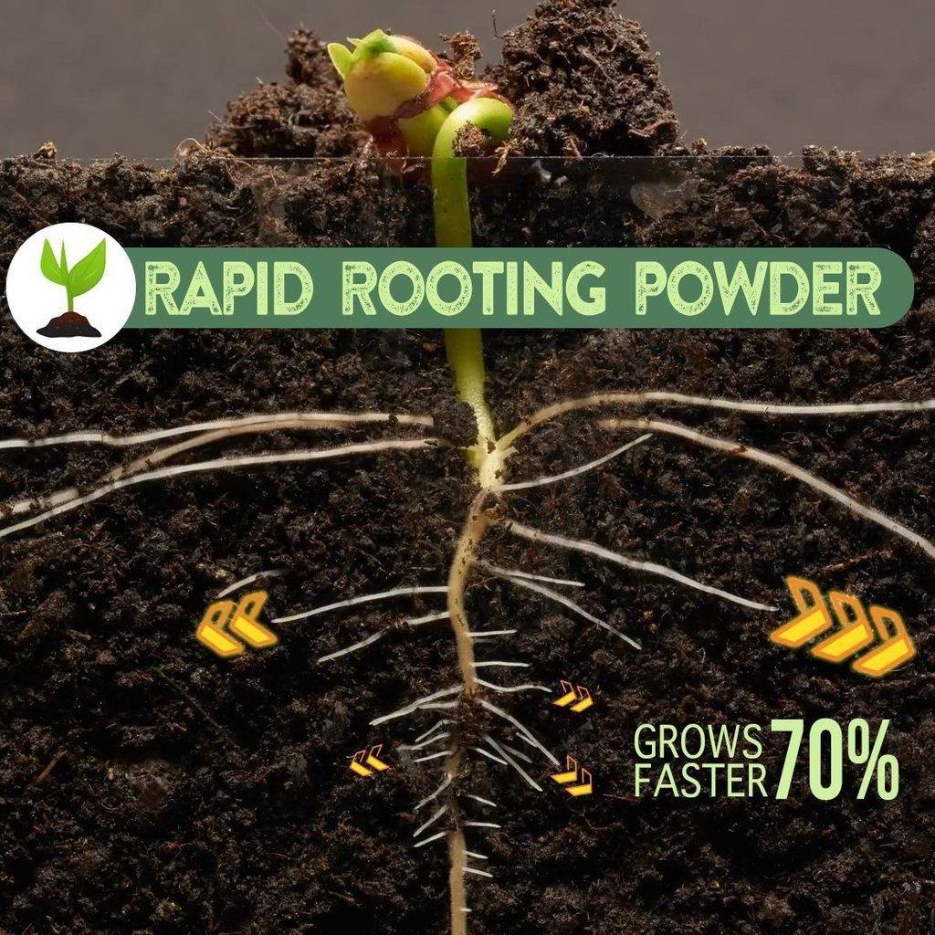 Super Rapid Rooting Powder