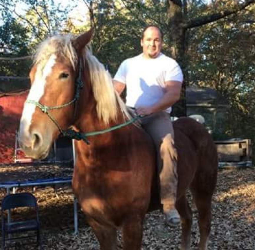 Hernando Happenings | **updated** Thank you everyone | Facebook