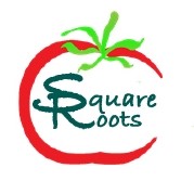 Square Roots | Lake George NY
