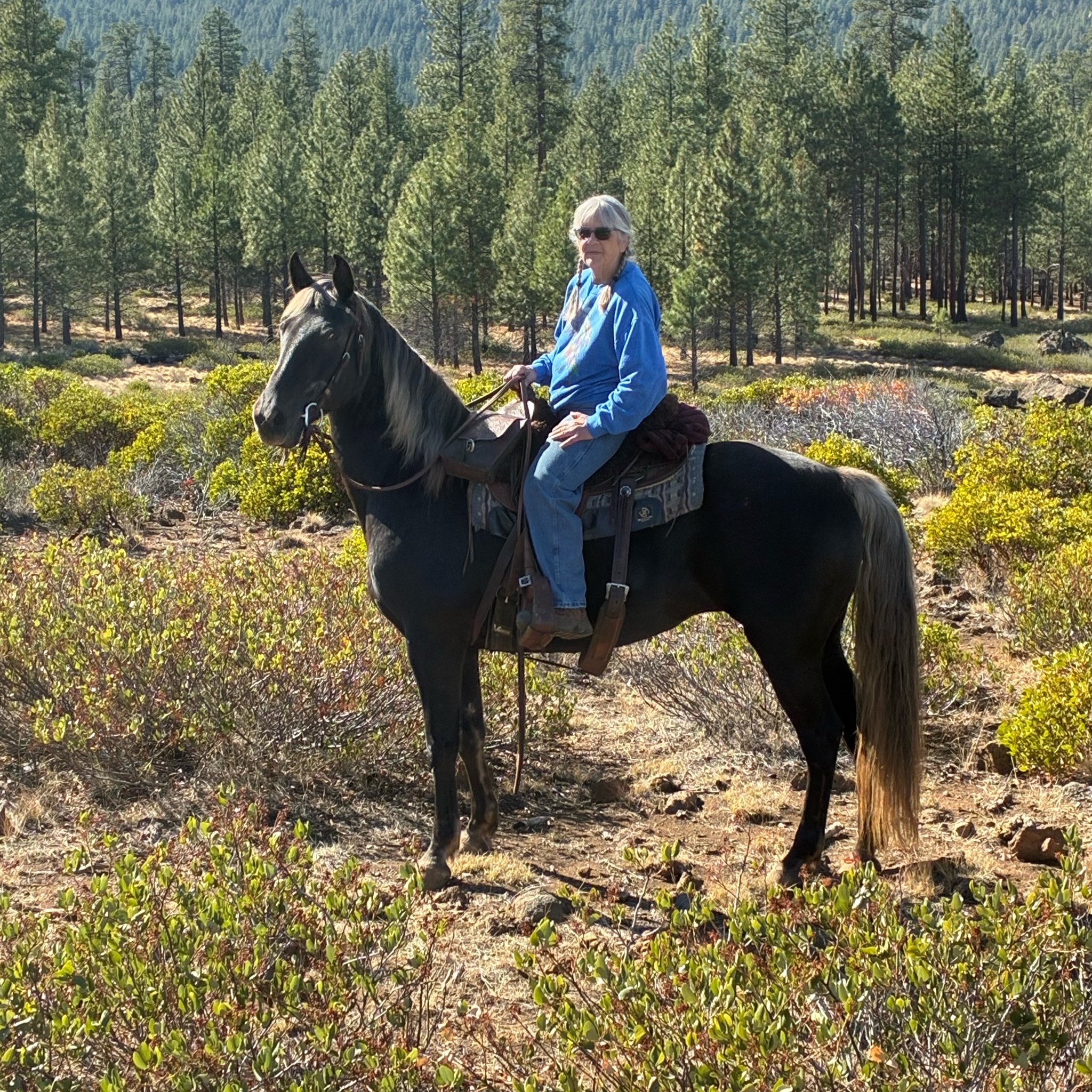 NW Poker Rides, Trail Riding & Horse Camping | The Jokers Wild Poker ...