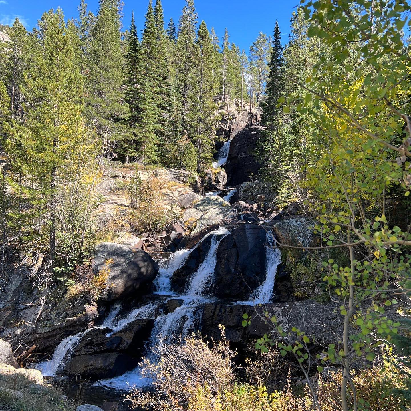 Val Craigo