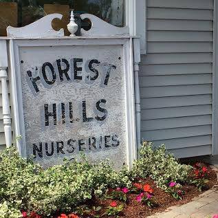 Forest Hills Nurseries | Cranston RI