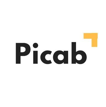 Picab - RYP Việt Nam