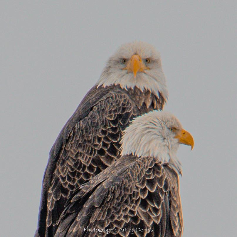 Rib Mountain State Park Photos