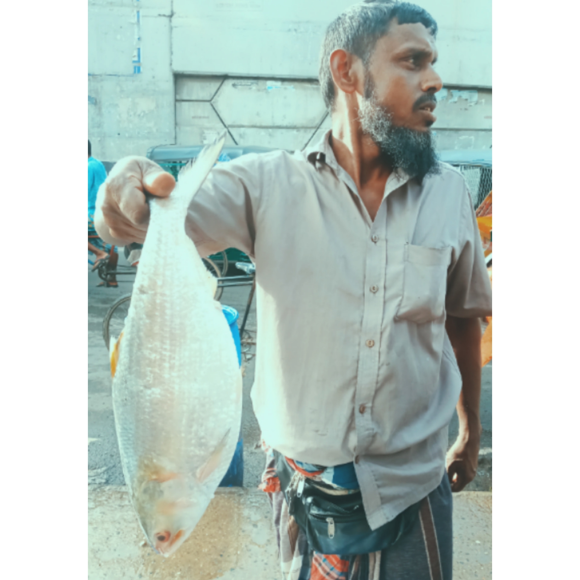 Bongofish | Dhaka