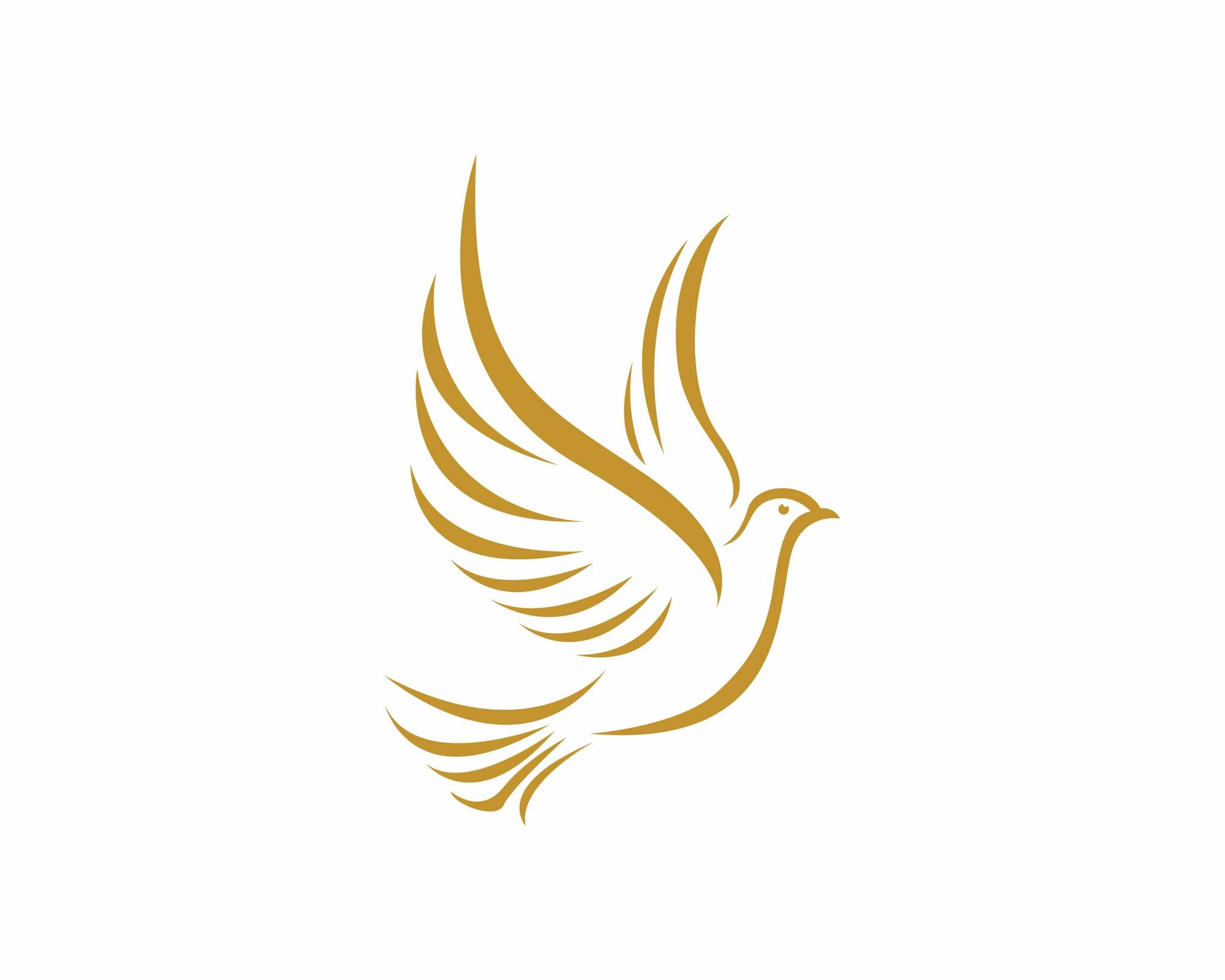 Premium Bible - Rebinds | NASB users, here's a rare opportunity to get ...