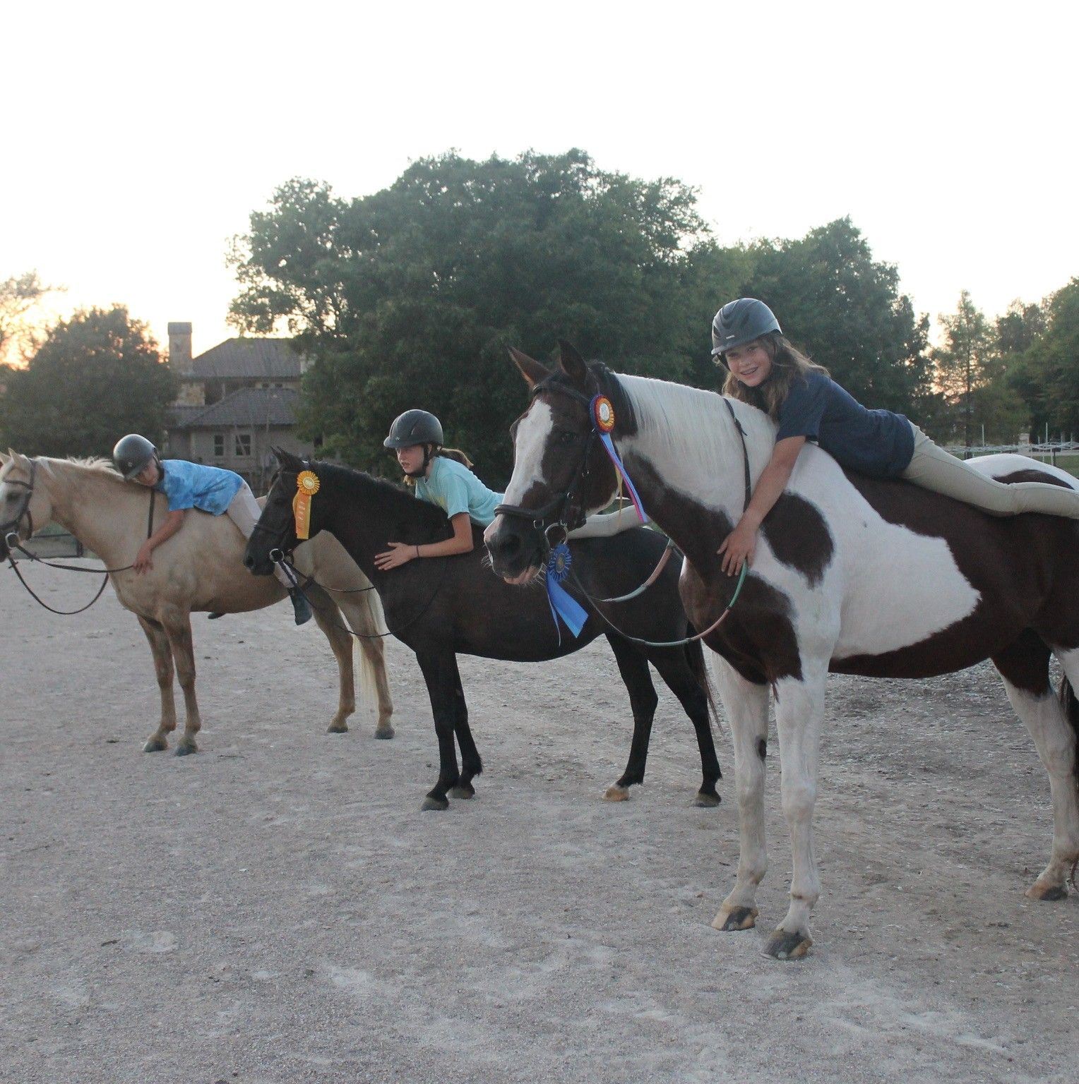 Kickapoo Ponies Texas added a new... - Kickapoo Ponies Texas