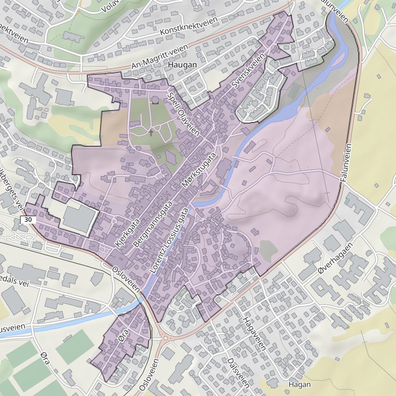 Huseierforening for Røros Sentrum
