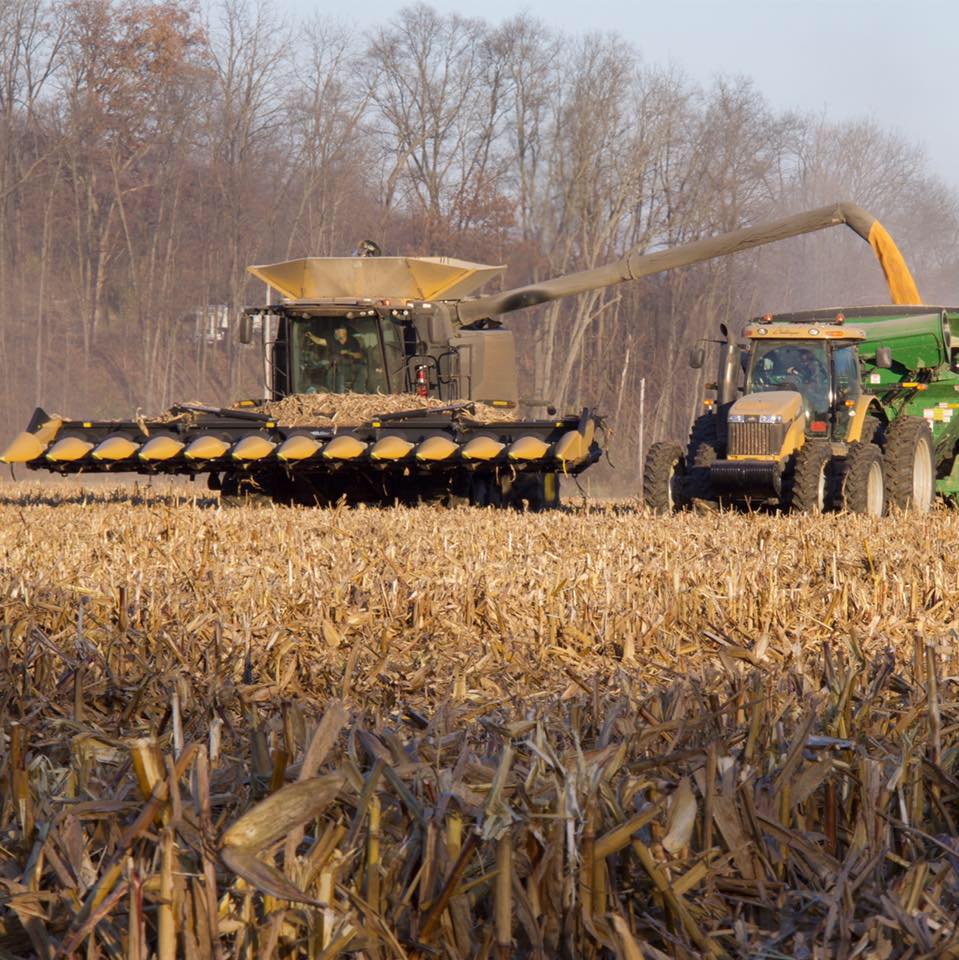 Loder Farms | Millersburg OH