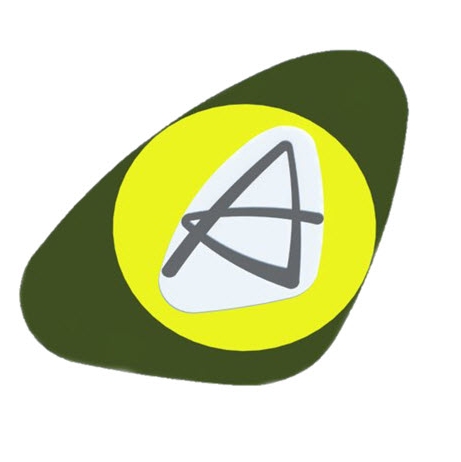 Accel Solutions Network