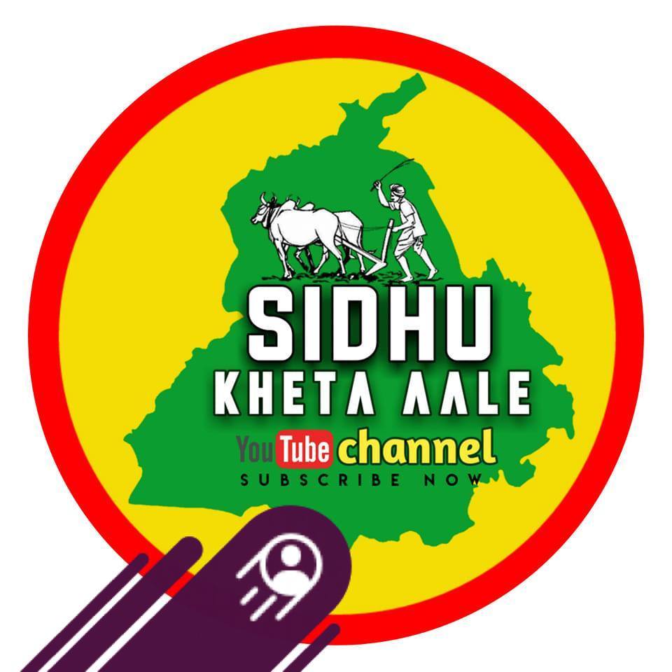 Sidhu Kheta Wale