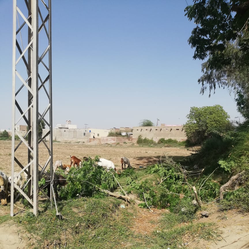 Sdo Talhar