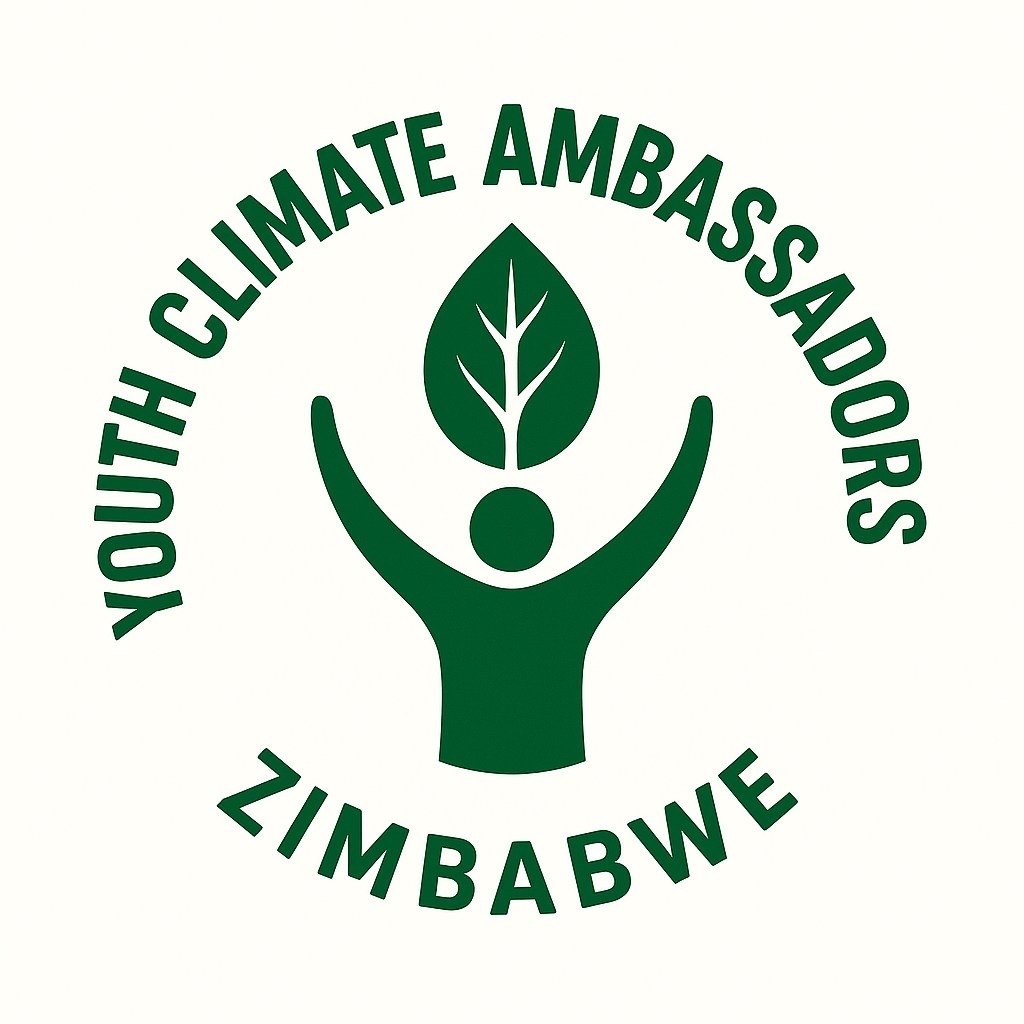 Youth Climate Ambassadors Zimbabwe | Bulawayo