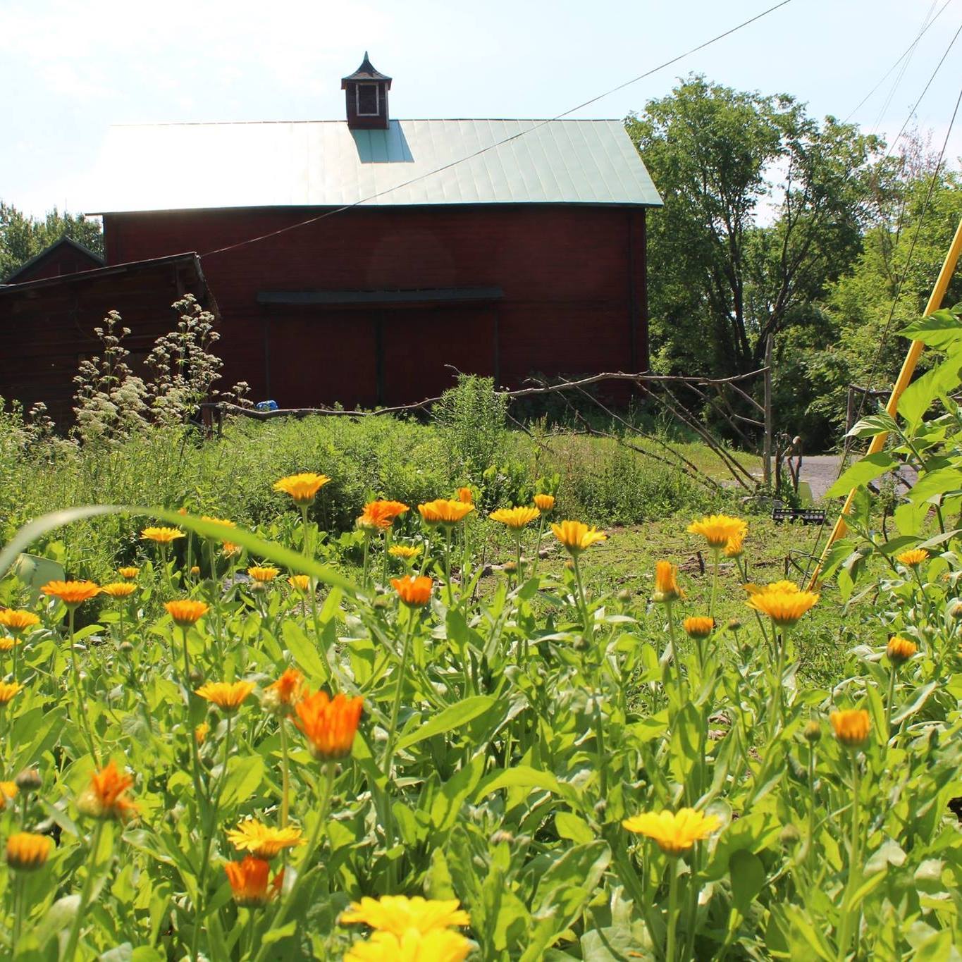 Tweefontein Herb Farm in New Paltz | New Paltz NY