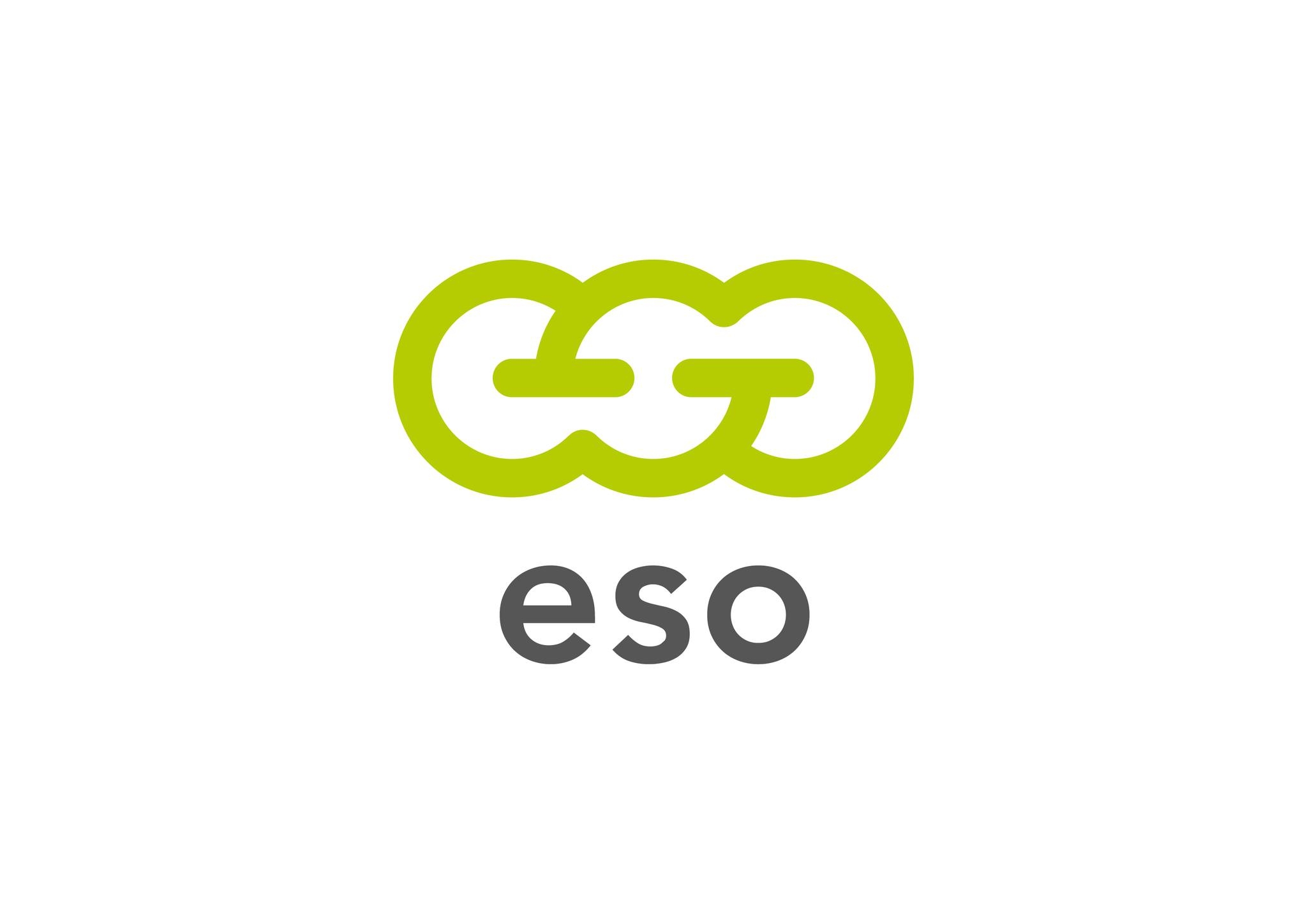 ESO - Energijos skirstymo operatorius