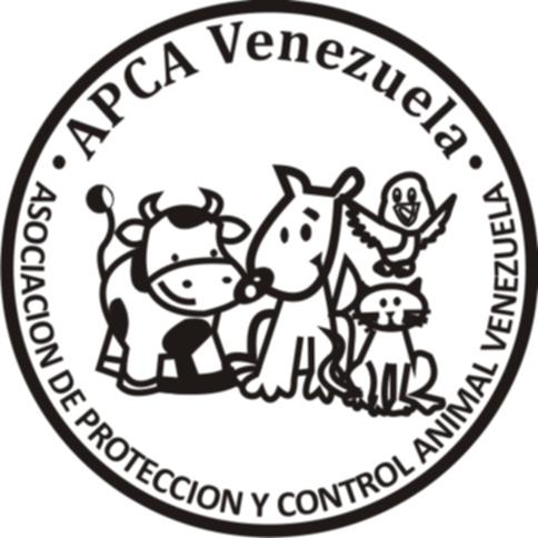 APCA Venezuela | Maracaibo
