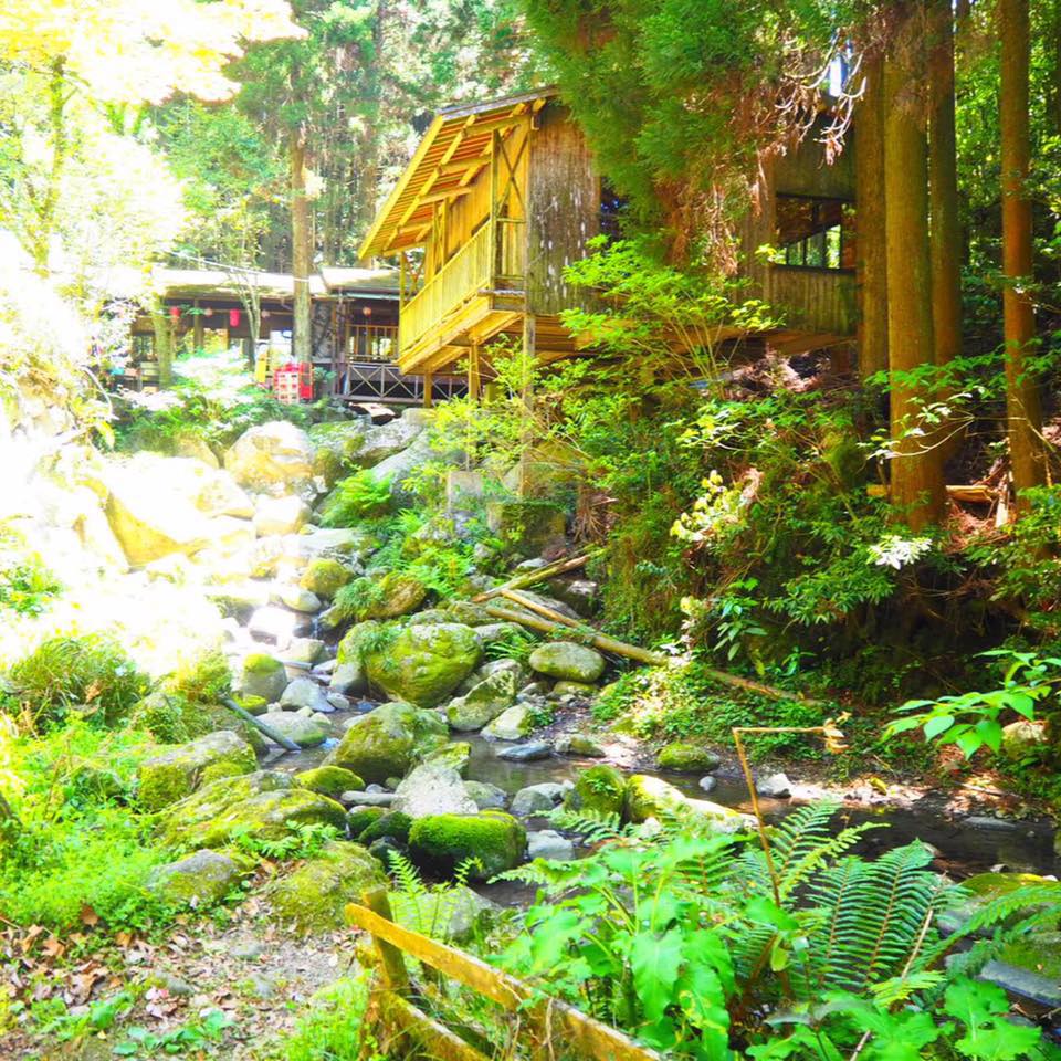 山の神 釣り堀 センター