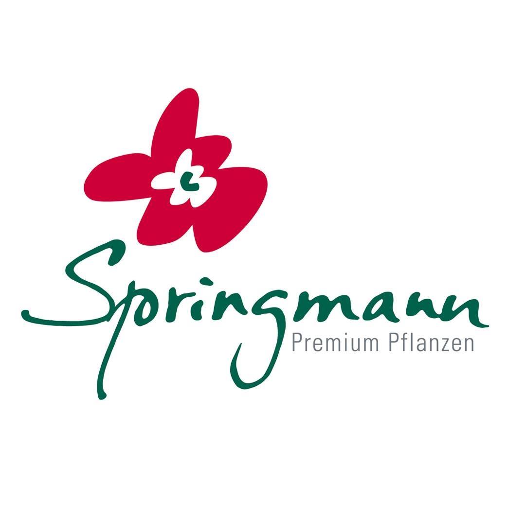 Pflanzen Springmann e.K. | Malterdingen