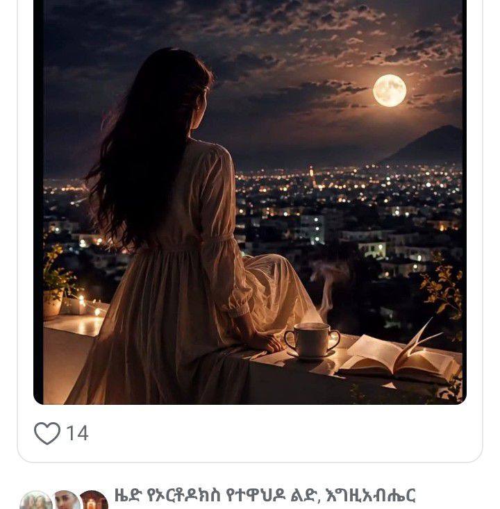 እነዚህ ኤአዮች ምን እያሉ ነው?😉 | ዘሪሁን ገሠሠ