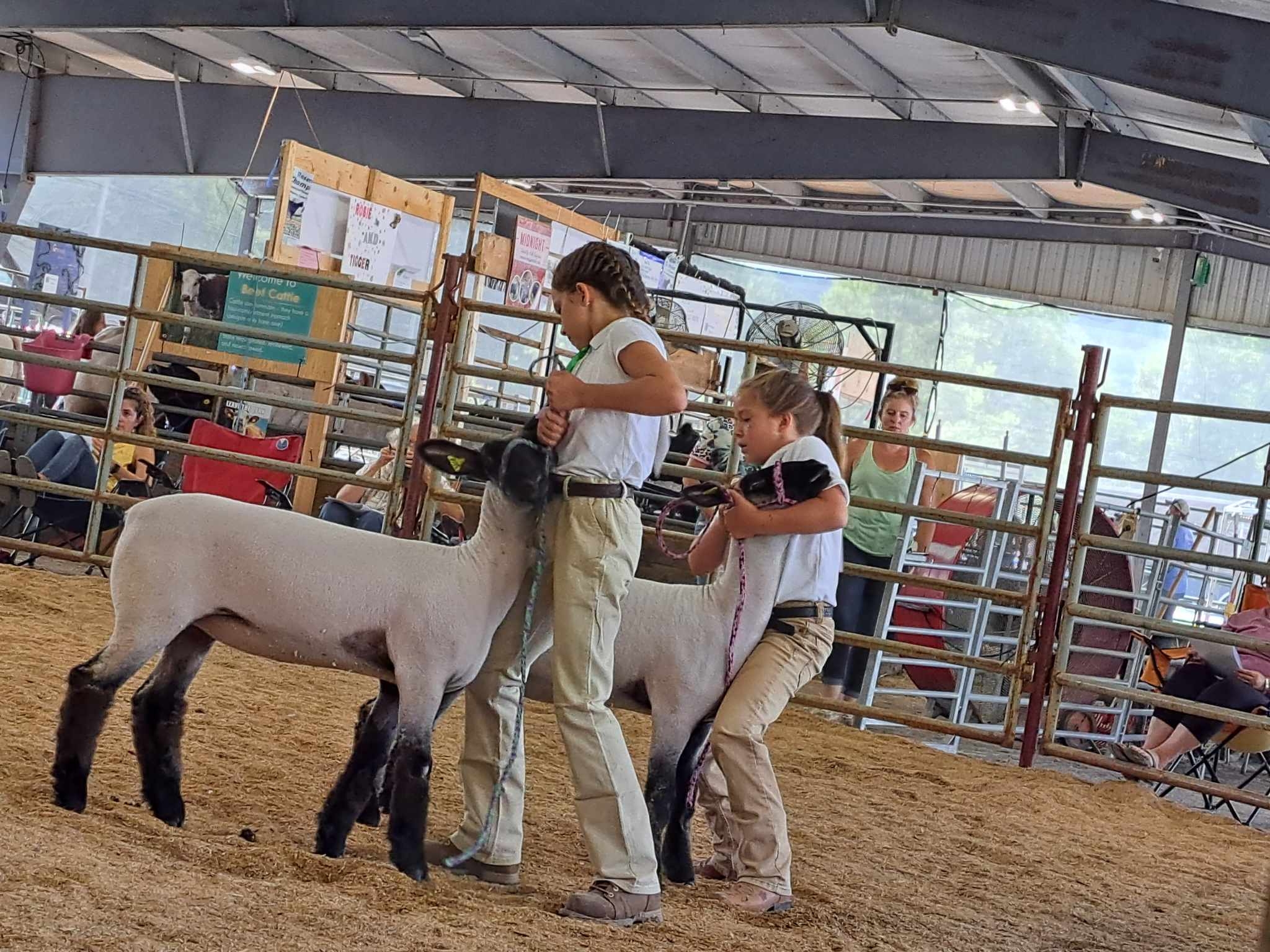 Walnut Ridge Farm | Flintstone MD