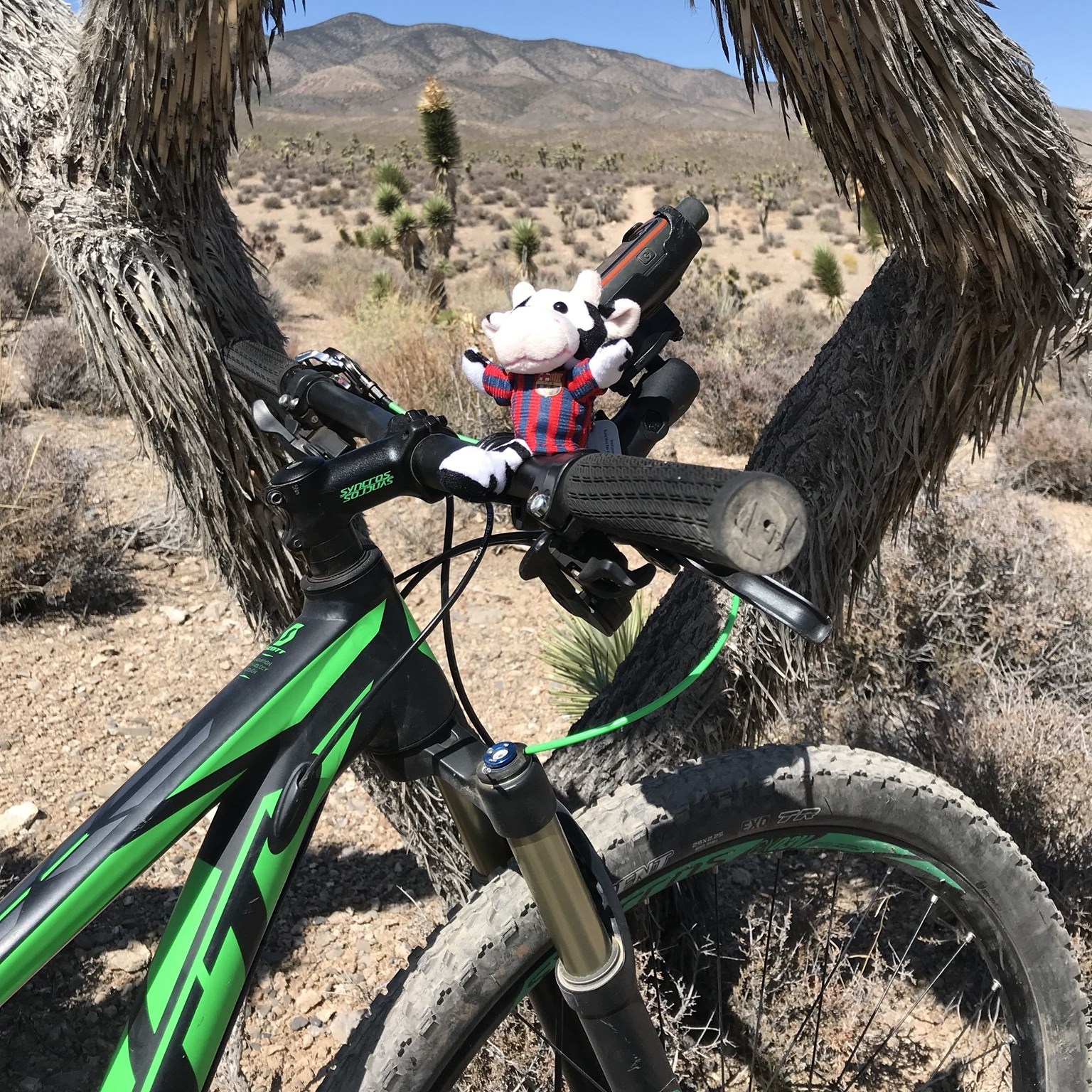 Aventon Aventure Owners | Any suggestions on bike racks for our hitch ...