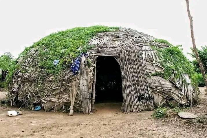 Labaran Hausa
