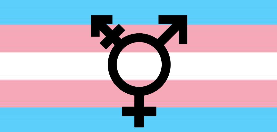 Reno-Tahoe Trans Support