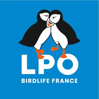Caroline Labbé artiste