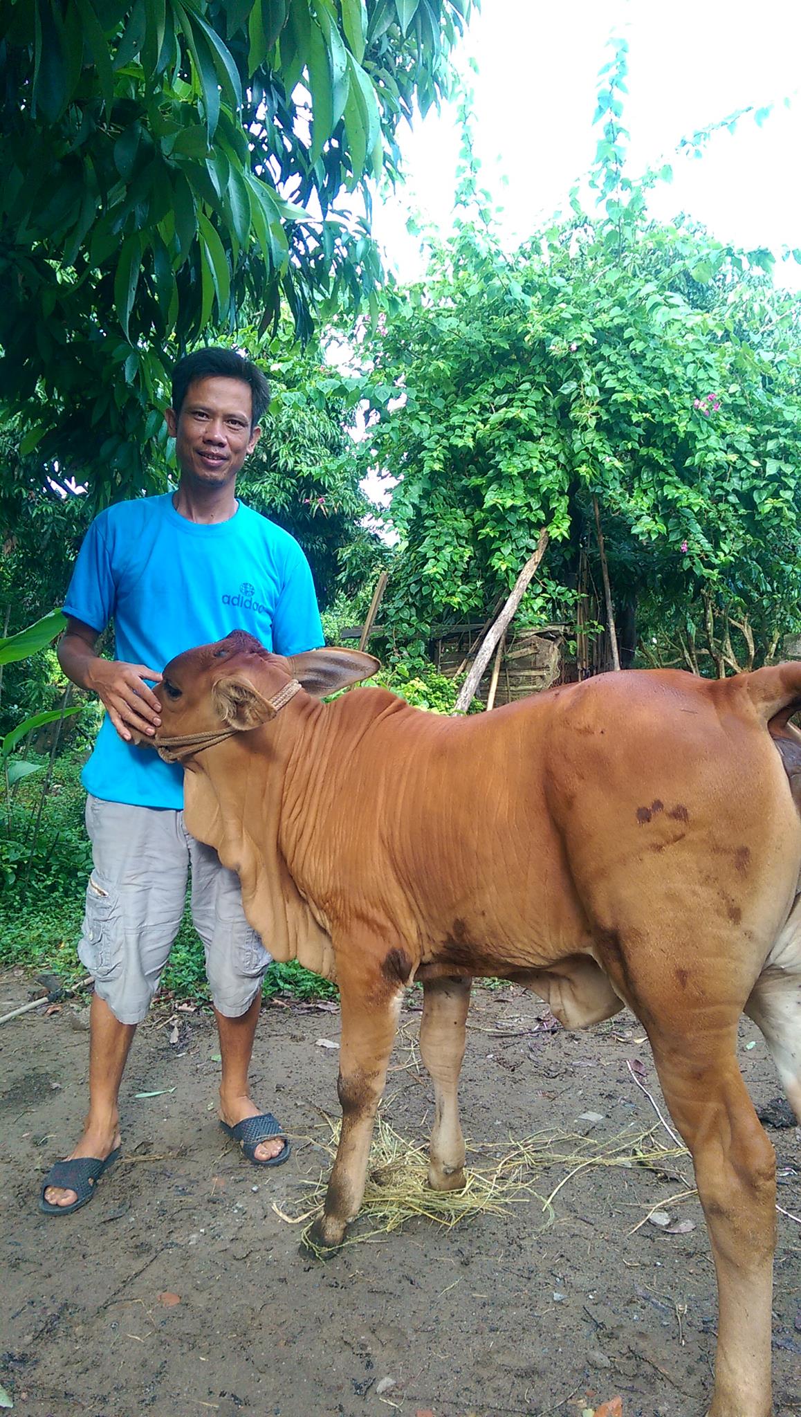 Thịt Bê Thui Rơm