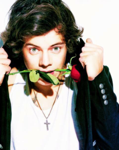 ONE Directioners only