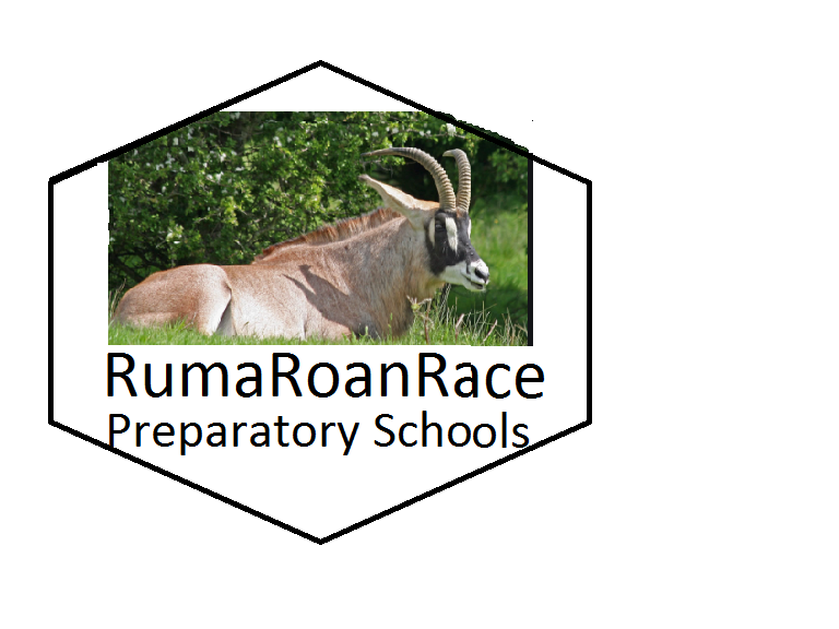 RUMA ROAN RACE Preparatory Schools - Lambwe Valley