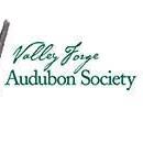 As if birds didn't have... - Valley Forge Audubon Society | Facebook