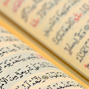 Profile for The Quran Tells Us _____