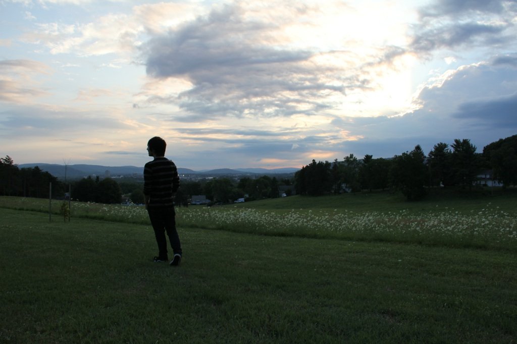 Tyler Reed (Music Page)