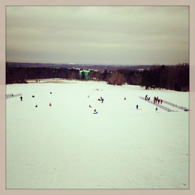 Chestnut Ridge Park OP