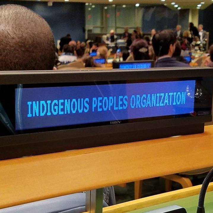 International Decade of Indigenous Languages - Grassroots Movement